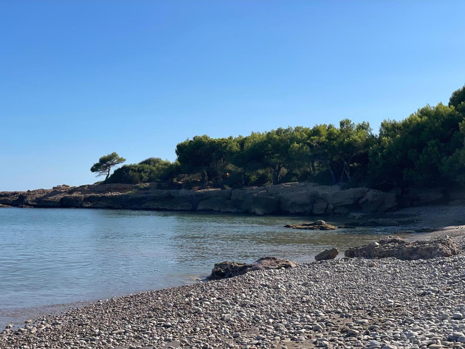 Pis La Rapita Apartment Alcanar Bagian luar foto